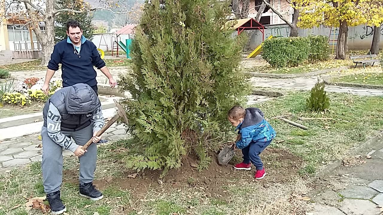 Да посадим дръвче